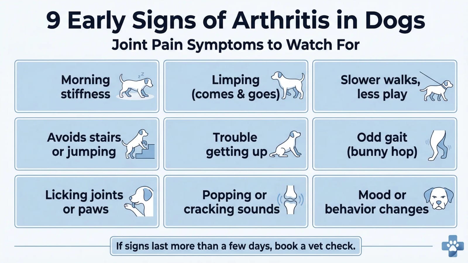 Early signs of arthritis in dogs infographic showing limping, stiffness, slow walks, trouble getting up, and joint licking
