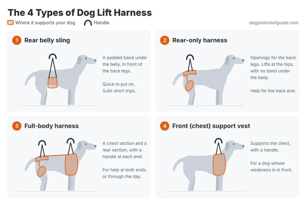 The 4 types of dog lift harness: rear belly sling, rear-only harness, full-body harness and chest support vest
