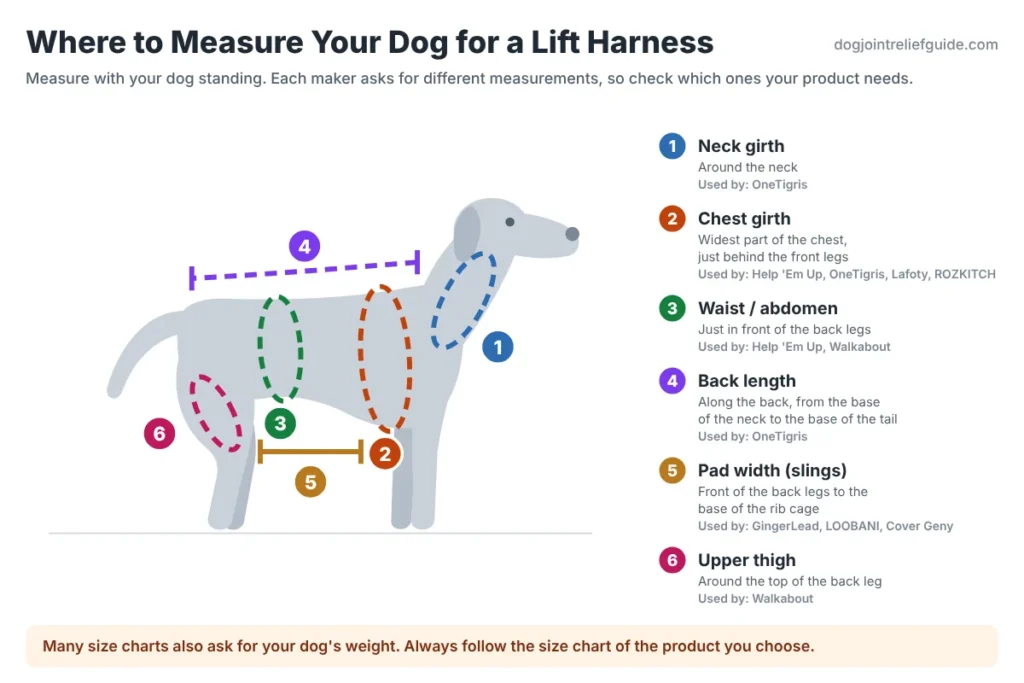 How to measure your dog for the best dog lift harness fit: neck, chest, waist, back length, pad width and thigh